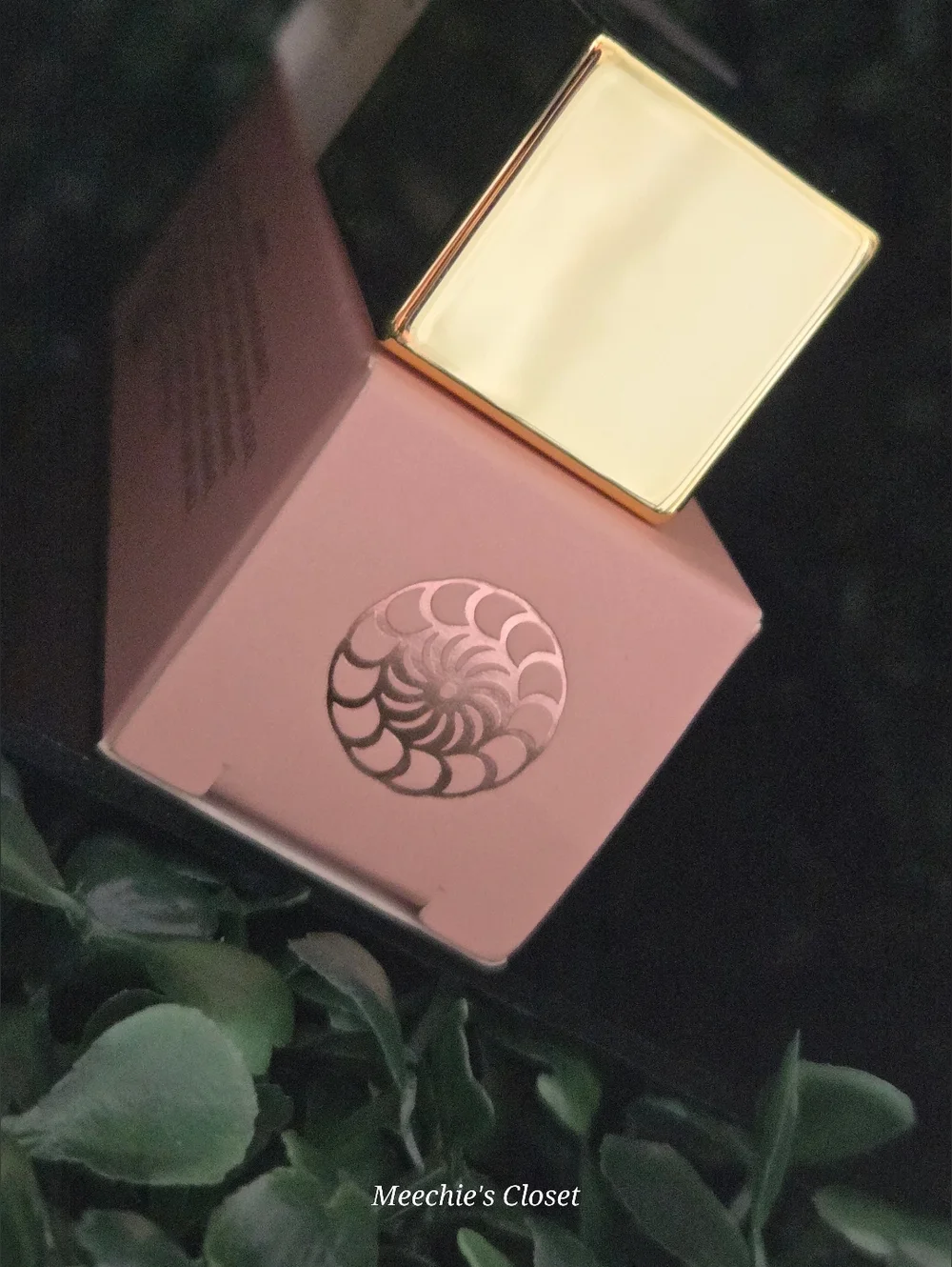 Euphoria Sunlight Lip Oil SPF 6 Salted Caramel Croissant 5ml New in Box